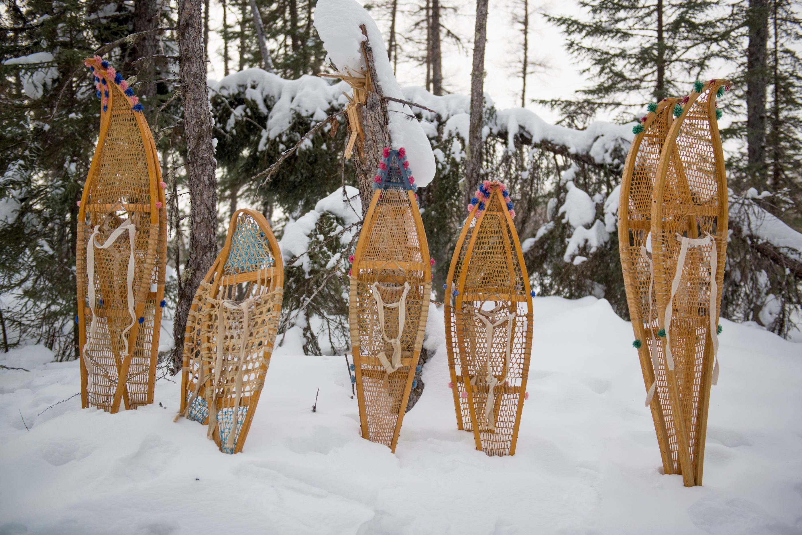 community-engagement-the-grand-council-of-the-crees-eeyou-istchee